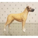 Beswick Pottery Great Dane Dog C.H. Ruler of Ouborough 968