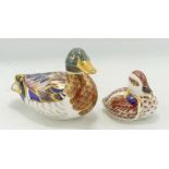 Royal Crown Derby Mallard & Chick Paperweight , gold stopper (2)