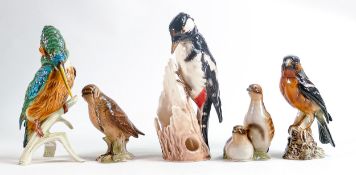 Goebel gloss figures of birds including Kingfisher CV123, Spotted Woodpecker, Snipe CV71, Grouse