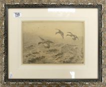 Stormy Weather Mallards Landing signed Winifred Austen (lower right) drypoint etching on paper