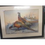 A group of three framed Edwardian watercolours by James Edwin Dean (1880-1935), depicting pheasants,