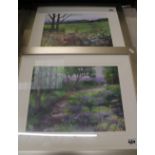 Two framed Debbie Neill prints, frame size 57cm x 47cm (2).