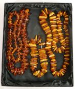A collection of Amber Jewellery to include 2 necklaces & bracelet