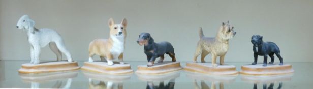 Northlight Group of Resin Dog Figures, These items were removed from the archives of the Wade