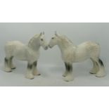 Two Beswick 818 shire horses in grey gloss. (2)