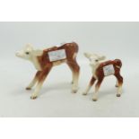 Beswick Hereford Calf 854 & 901B(2)