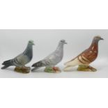Beswick 1383 Brown (restored), Grey & Overpainted Pigeons(3)