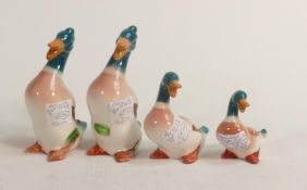 A Group of Comical Mallard Ducks to include 919a x 2, 919b & 919c(4)