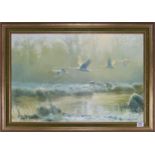 Sydney Taylor (British, 1870-1952), Swans in flight, signed 'Sydney Taylor', frame size 62 x 87cm