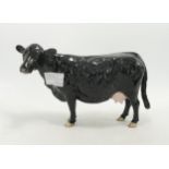 Beswick Black Galloway Cow: 4113B BCC 2002 backstamp