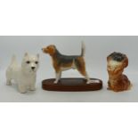 Beswick connoisseur model of a Beagle Hound on wood base, Scottie dog and begging Pekinese 1059. (3)
