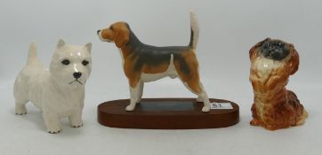 Beswick connoisseur model of a Beagle Hound on wood base, Scottie dog and begging Pekinese 1059. (3)