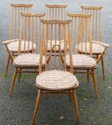 Blonde Ercol Set of Six Dining Chairs inc two carvers, some sun bleaching(6)