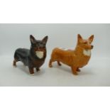 Two Beswick large Corgi Dogs 1299, in light tan and dark brindle colours. (2)