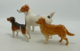 Beswick large model of Yorkshire Terrier and two smaller models of Beagle and a Retriever. (3)