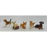 Beswick Dogs to include Labrador 1956, Chinchilla 2454, Corgi 1736 (repaired ears), Dachshund 1460 &