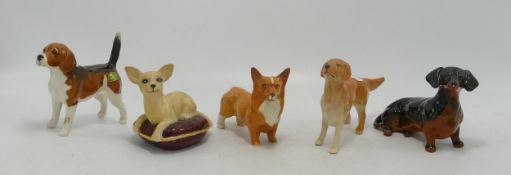 Beswick Dogs to include Labrador 1956, Chinchilla 2454, Corgi 1736 (repaired ears), Dachshund 1460 &