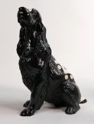 North Light large resin figure of a Cocker Spaniel, height 31.5cm This was removed from the archives
