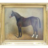 Oil painting on canvas of horse in stable titled Baccarat, by Herbert St John Jones. Measuring
