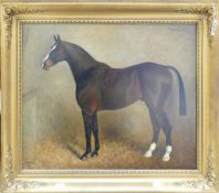 Oil painting on canvas of horse in stable titled Baccarat, by Herbert St John Jones. Measuring