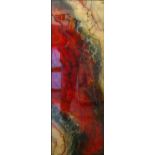 KERRY DARLINGTON acrylic, layered and relief resin, unique edition (7/95) framed print, 119 x 40cm