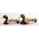 Beswick Mallard ducks approved by Peter Scott, comprising 1518-1 and 1518-2. (2)