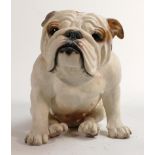 North Light large resin figure of an English Bulldog pup, height 21cm. This was removed from the