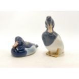 Royal Copenhagen model of a seated duck 1924 and standing duck 1941, h.12cm. (2)