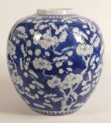 Large 19th century Chinese ginger jar decorated with Prunus, height 22.5cm.