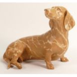 North Light large resin figure of a Dachshund, height 23cm. This was removed from the archives of