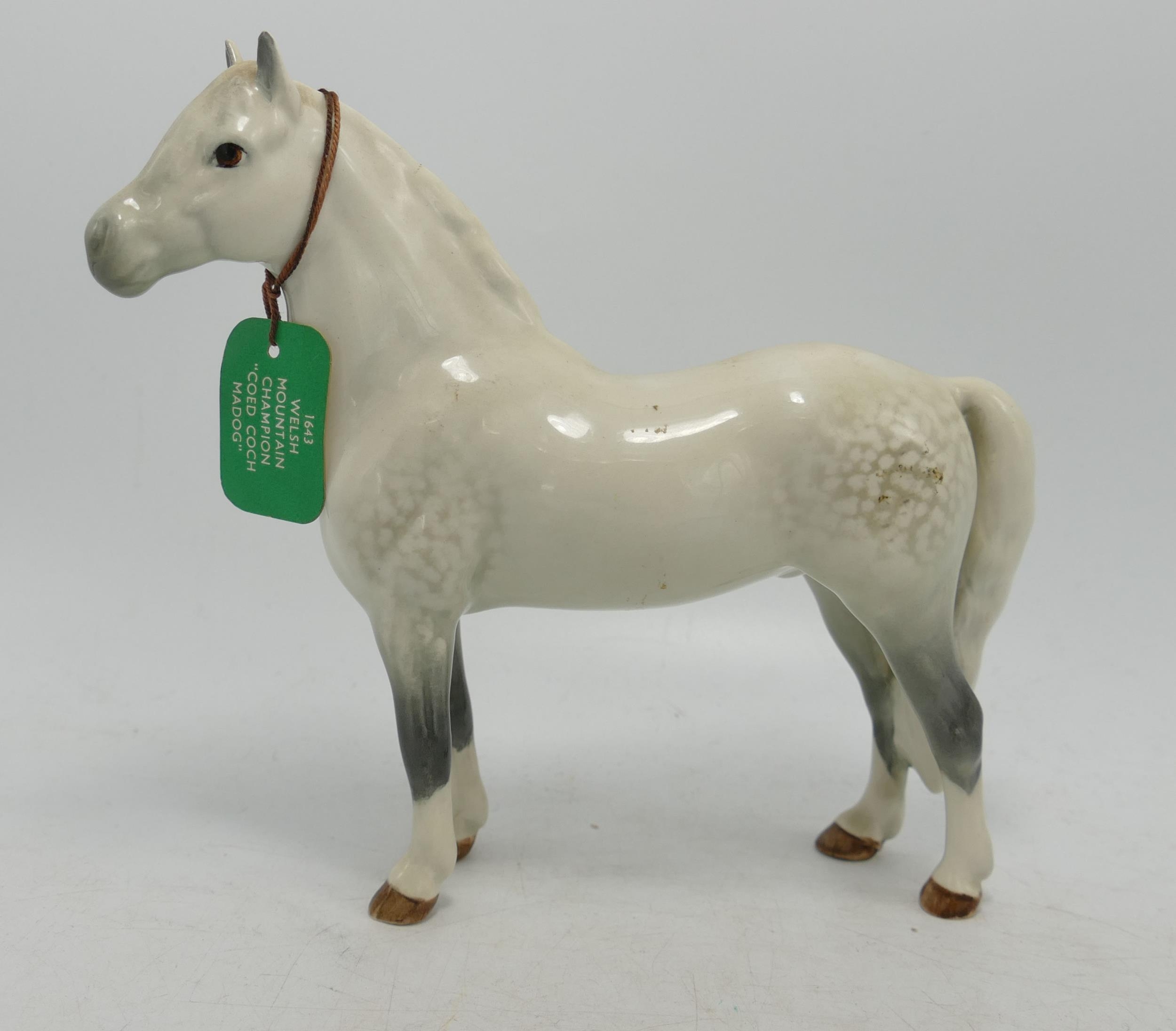 Beswick Grey Welsh Mountain Pony 1643