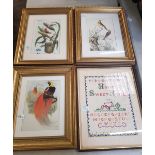 Three Framed Wild Bird theme prints & similar sampler(4) largest 50 x 40cm