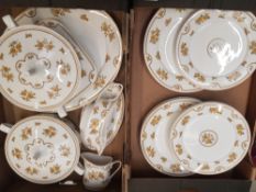 Spode Austen Patterned Tea & dinnerware to include trio's, dinner plates, tureens, soup bowls etc (