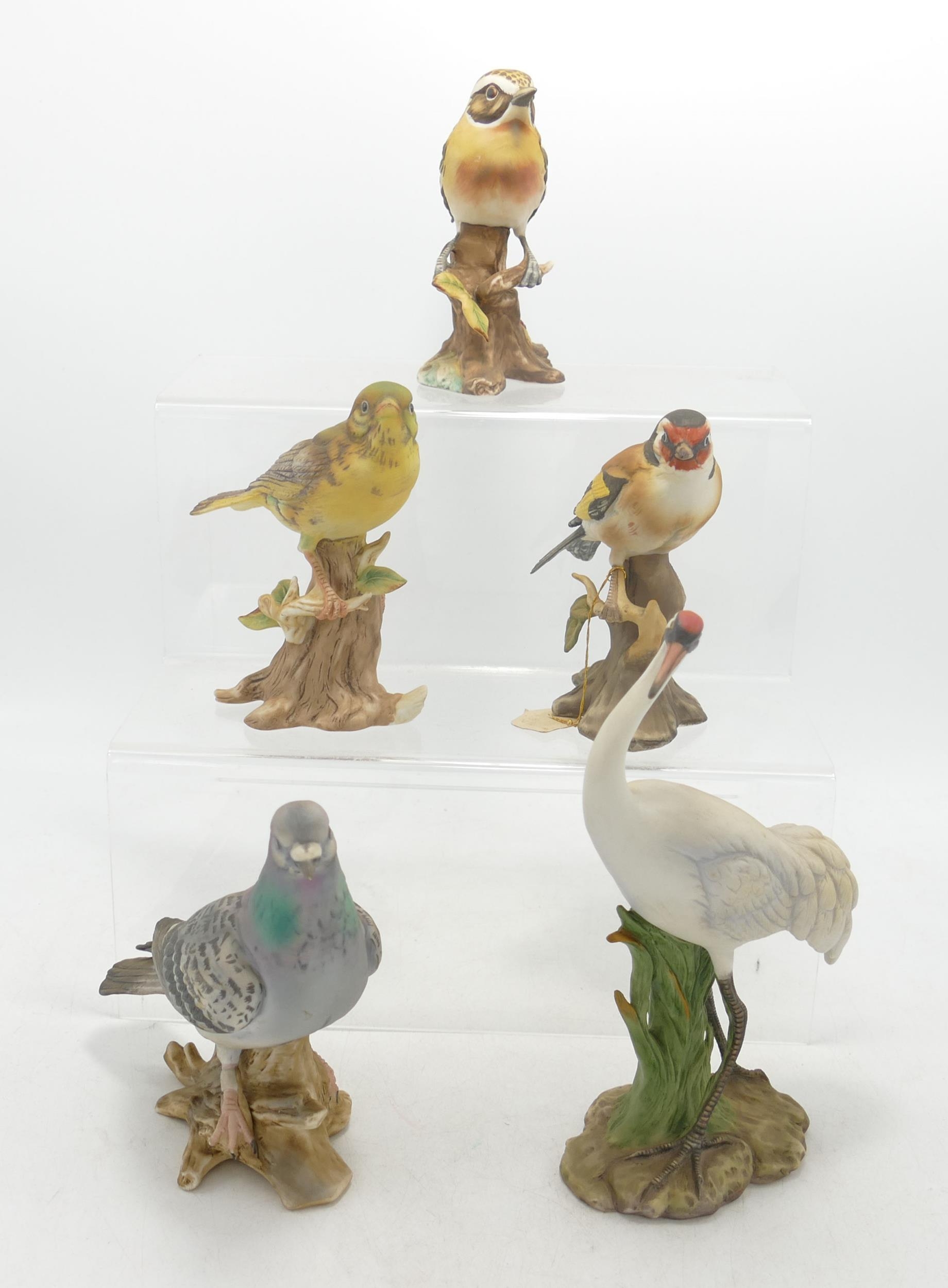 A collection of Continental Bird figures including Gold Finch, Pigeon, Stonechat, Green Finch &