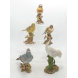 A collection of Continental Bird figures including Gold Finch, Pigeon, Stonechat, Green Finch &