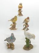 A collection of Continental Bird figures including Gold Finch, Pigeon, Stonechat, Green Finch &