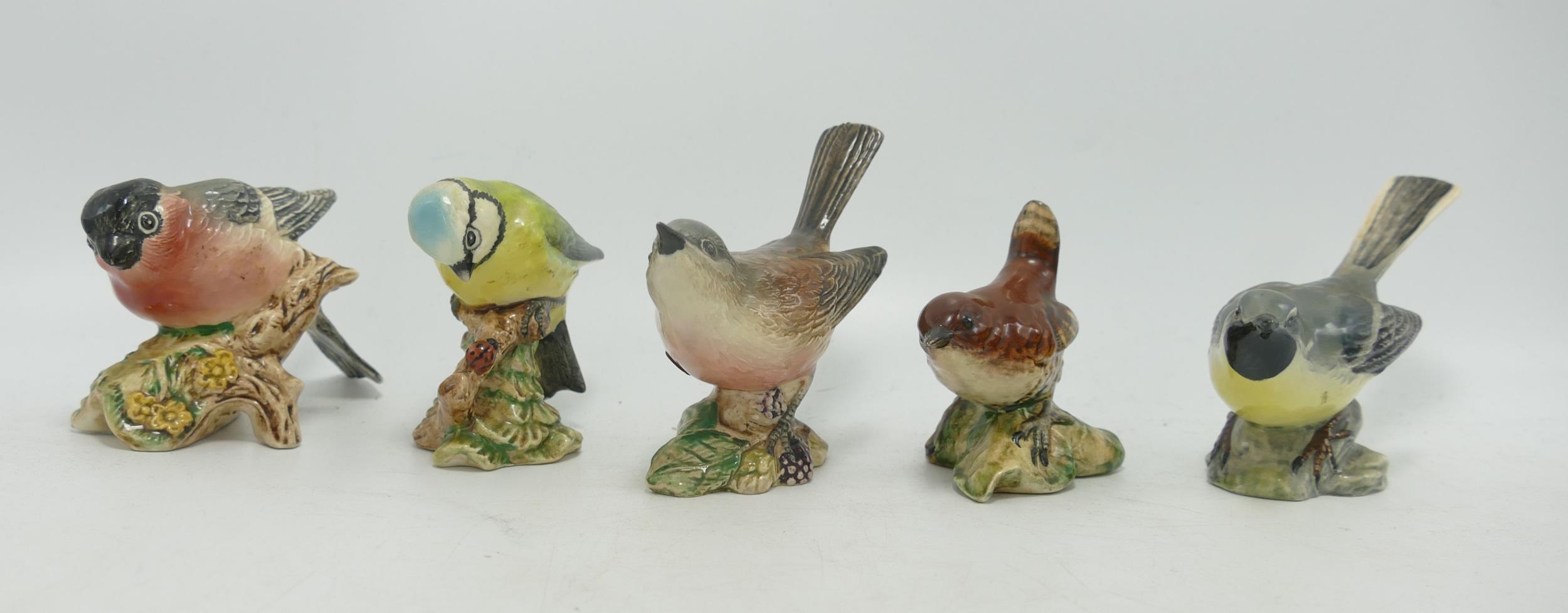 Beswick Small Birds to include Blue Tit, Bullfinch, Grey Wagtail, Wren & Whitethroat(5)