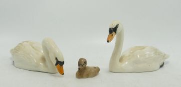 Beswick Swan Family comprising of Swan Head Up 1684, Swan Head Down 1685 & Signet (3)