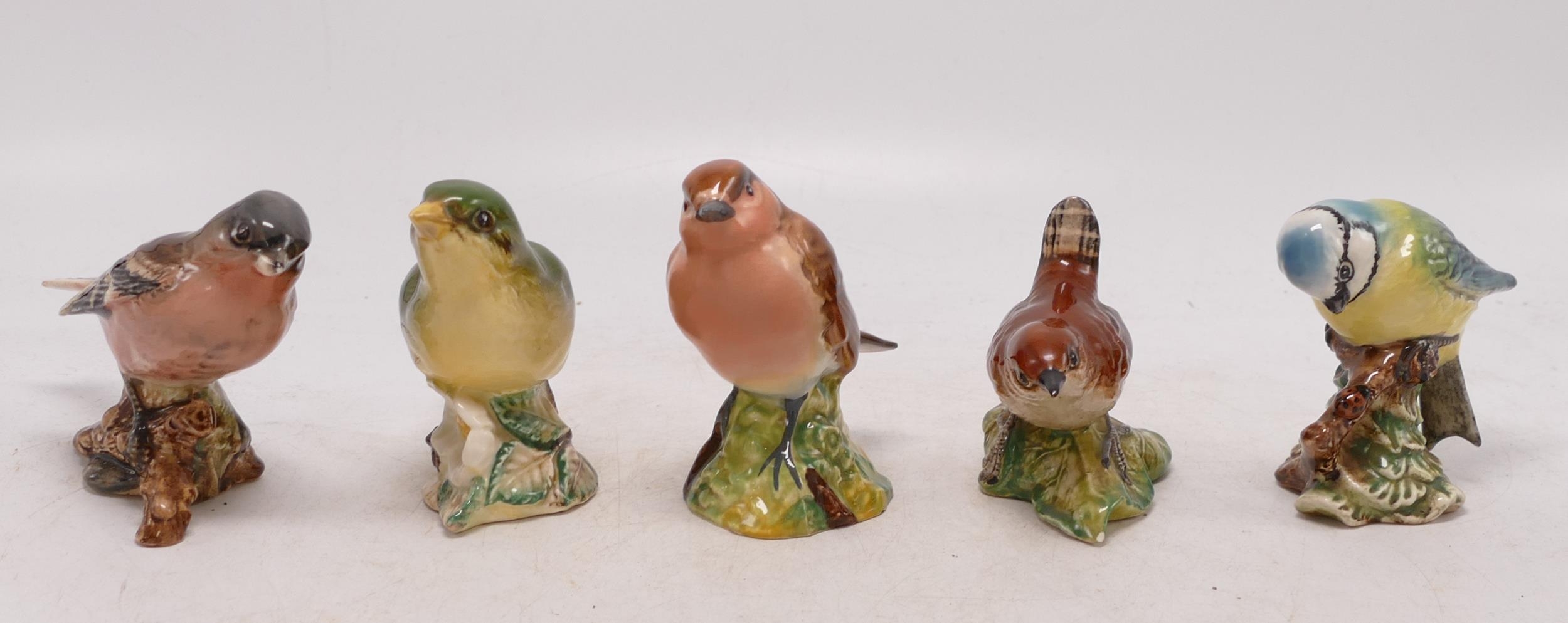 Beswick wren 993, blue tit 992, greenfinch 2105, chaffinch 991 and robin 980(5)