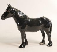 Beswick Dales pony 1671 in black gloss.