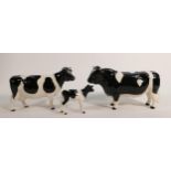 Beswick Friesian family comprising bull 1439, cow 1362 and calf 1249C(3)