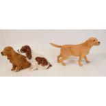 Royal Doulton Dog figures Labrador Matt & Glosss Cocker Spaniels(3)