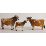Beswick Jersey family to include Bull 1422, cow 1345 and calf 1249D (3)