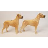 Beswick Great Danes in both gloss & matt 968(2)