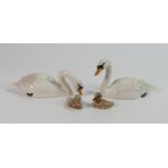 Beswick Swans & Signet 1685 & 1684(4)