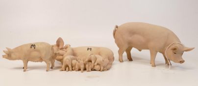 A collection of Wade Ceramic Northlight Figures of Pigs & Piglets tallest 10cm. These were removed