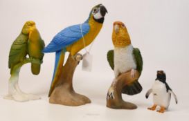 A collection of Wade Ceramic Northlight Figures of Parrots & Penguin, tallest 23cm. These were