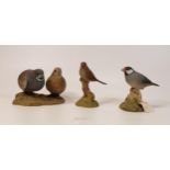 A collection of Wade Ceramic Northlight Figures of Wild Birds, tallest 10.5cmcm. These were