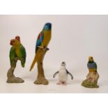 A collection of Wade Ceramic Northlight Figures of Parrots & Penguin, tallest 24cm. These were