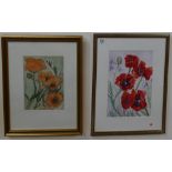 Vanessa Whinney watercolour of Poppies 37cm x 27cm excluding mount & frame, together with Chloe